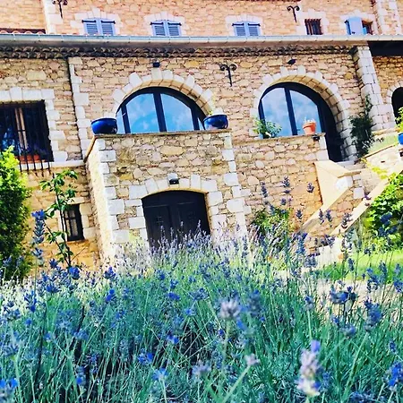 Oasis Des Lavandes - Coqueliot Villeneuve-les-Avignon