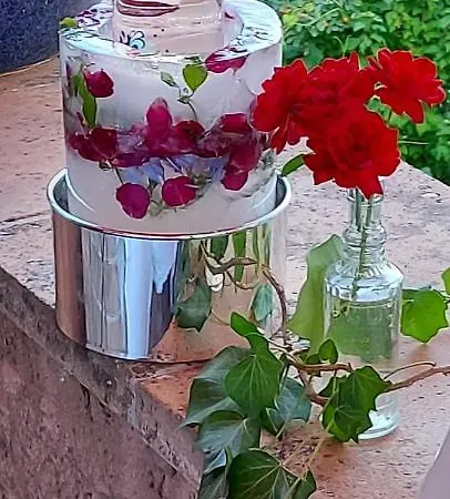 Bed & Breakfast Oasis Des Lavandes - Coqueliot Villeneuve-les-Avignon